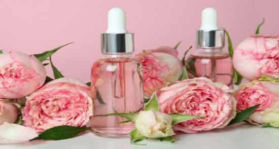 گلاب و سنگ کلیه ؛ فواید مصرف گلاب برای درمان سنگ کلیه