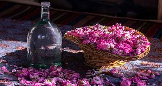 گلاب و کلیه ؛ ایا برای شستشوی کلیه میتوان از گلاب استفاده کرد