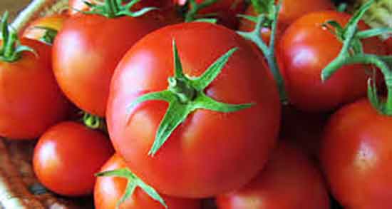 گوجه برای دیابت خاصیت و عوارض مصرف گوجه برای قند خون زنان باردار