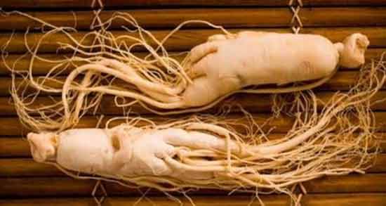گیاه جینسینگ برای پسردار شدن ؛ تاثیر استفاده از گیاه جینسینگ برای پسردار شدن