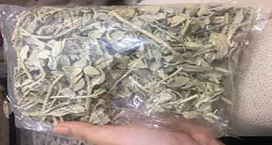 گیاه پولک چیست ایا دمنوش گیاه پولک خاصیت ضد التهابی برای بدن دارد