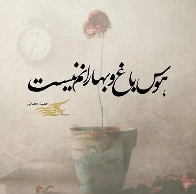جملات کوتاه زیبا و پر معنا + متن های آموزنده کوتاه ناب و سنگین