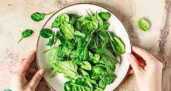 آب اسفناج برای دیابت و خوردن اب اسفناج برای درمان قند خون زنان باردار آب اسفناج برای دیابت ؛ خوردن اب اسفناج برای درمان قند خون زنان باردار