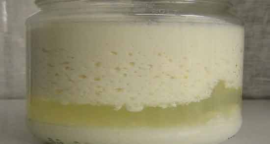 آب ماست در طب سنتی ؛ خواص و مضرات مصرف آب ماست از دیدگاه طب سنتی