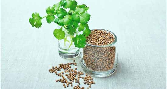 آب گشنیز برای مو ؛ تقویت و افزایش رشد مو با مصرف ر