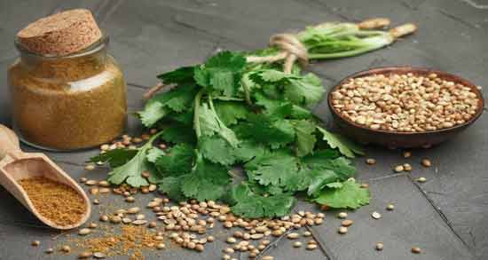 آب گشنیز برای پوست ؛ درمان مشکلات پوستی با آب گشنیز