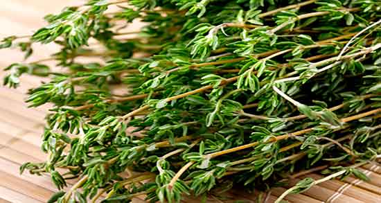آذربه برای زن باردار ؛ خاصیت و عوارض مصرف اذربه برای زنان حامله چیه