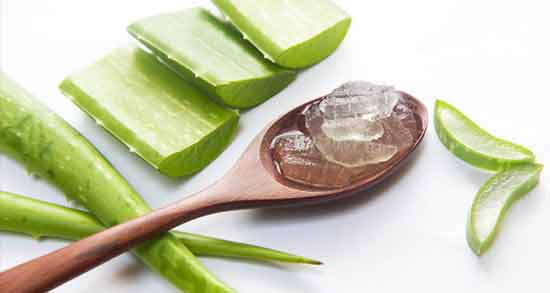 آلوئه ورا برای پوست ؛ تاثیر استفاده از آلوئه ورا برای سلامت پوست