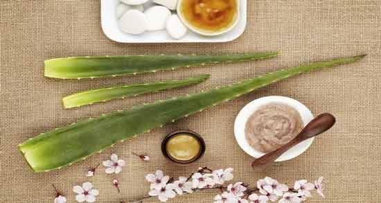 آلوئه ورا برای چروک دور چشم ؛ استفاده از آلوئه ورا برای درمان چروک دور چشم