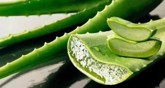 آلوئه ورا برای چی خوبه ؛ در چه مواردی استفاده از آلوئه ورا مفید است
