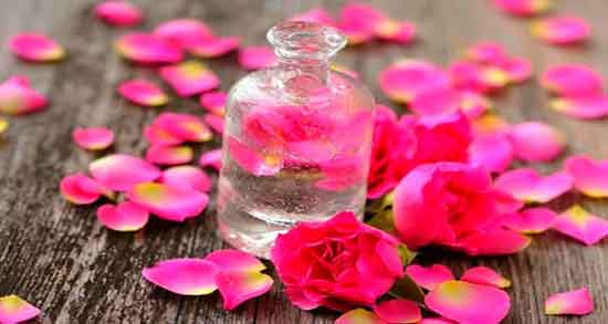 آیا گلاب قاعده آور است ؛ خاصیت مصرف گلاب برای دوران پریودی زنان