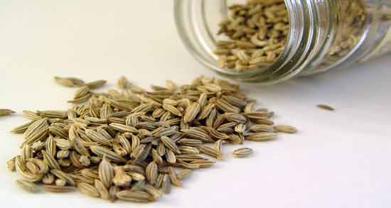 از چندم قاعدگی رازیانه بخوریم و نحوه صحیح مصرف رازیانه در دوران قاعدگی