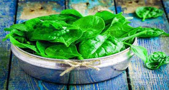 اسفناج خون ساز است ؛ خاصیت مصرف اسفناج برای خون سازی کودکان
