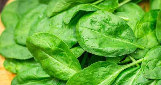 اسفناج و کم کاری تیروئید ؛ خاصیت خوردن اسفناج برای درمان کم کاری تیروئید