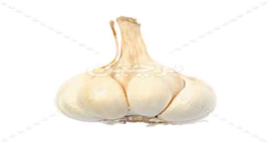 ایا سیر شکم را سفت میکند و عوارض مصرف سیر خام برای یبوست شدید ایا سیر شکم را سفت میکند ؛ عوارض مصرف سیر خام برای یبوست شدید