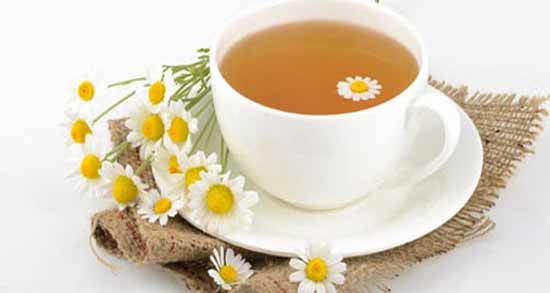 بابونه در شیردهی نی نی سایت ؛ تاثیر خوردن بابونه برای شیر مادر