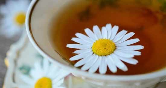 بابونه و خونریزی قاعدگی نی نی سایت ؛ خواص و مضرات خوردن بابونه برای قاعدگی