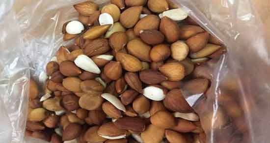 بادام کوهی برای بارداری ؛ وجود مواد مغذی در بادام کوهی مفید برای زن باردار