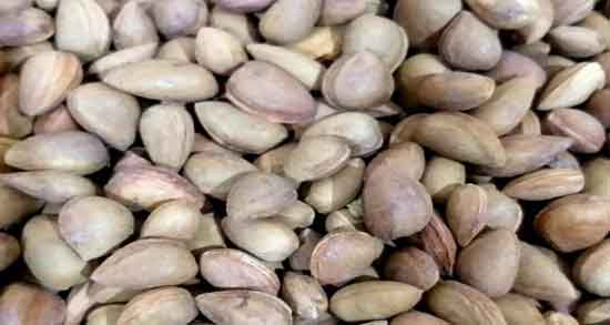 بادام کوهی برای زنان باردار ؛ خواص و مضرات مصرف بادام کوهی در دروان بارداری