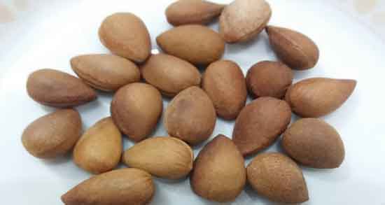 بادام کوهی برای چی خوبه ؛ در چه مواردی مصرف بادام کوهی مفید است