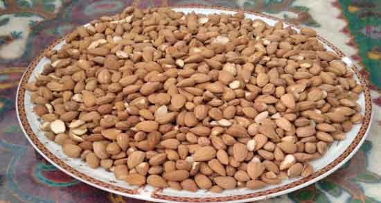 بادام کوهی در طب سنتی ؛ خواص و مضرات مصرف بادام کوهی از نظر طب سنتی