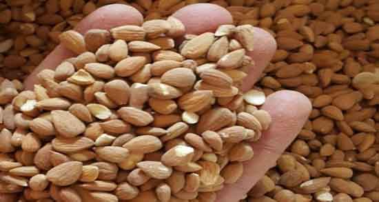 بادام کوهی و فشار خون ؛ خاصیت مصرف بادام کوهی برای تنظیم فشار خون