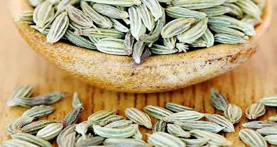 تاثیرات رازیانه بر زنان و بررسی فواید خوردن رازیانه برای حفظ سلامت زنان