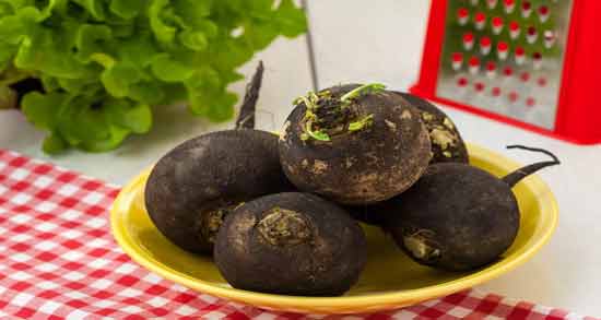 تربچه سیاه برای سنگ کلیه ؛ تاثیر خوردن تربچه سیاه برای درمان سنگ کلیه