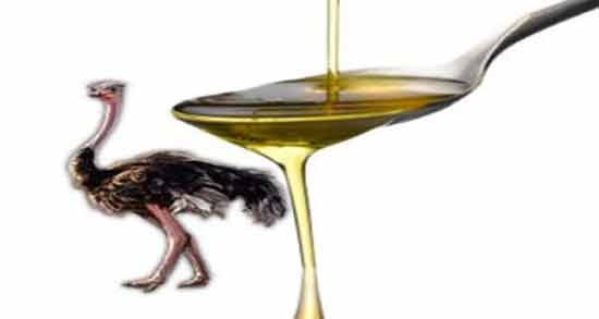 ترکیب روغن زیتون و روغن شترمرغ ؛ فواید استفاده از روغن زیتون و روغن شترمرغ