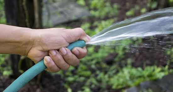 تعبیر خواب آبیاری با شلنگ ، معنی آبیاری با شلنگ در خواب های ما چیست