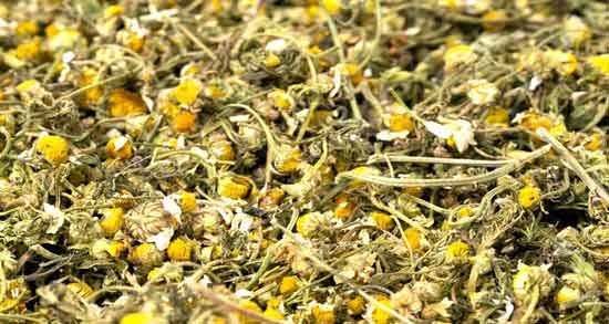 تعبیر خواب بابونه خشک ، معنی بابونه خشک در خواب های ما چیست