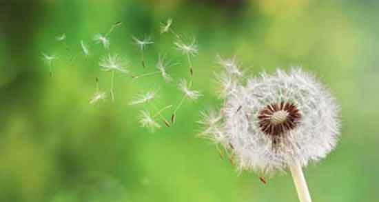 تعبیر خواب باد بردن سفره ، معنی باد بردن سفره در خواب های ما چیست
