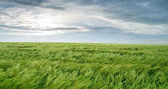 تعبیر خواب باد بردن لباس از روی بند ، معنی باد بردن لباس از روی بند در خواب