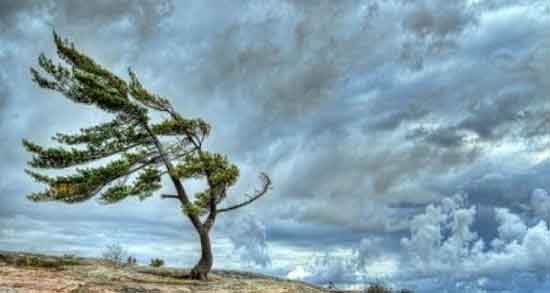 تعبیر خواب باد بردن چادر مشکی و سفید و چادر نداشتن زن و چادر سبز تعبیر خواب باد بردن چادر مشکی ، معنی باد بردن چادر مشکی در خواب چیست