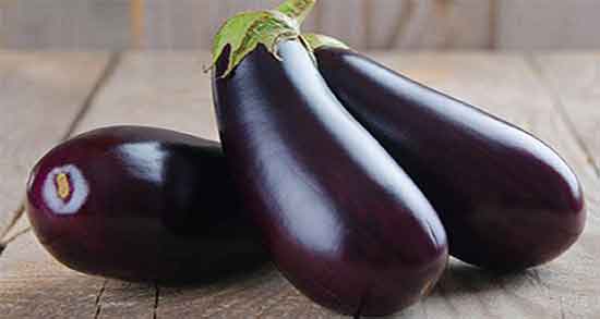 تعبیر خواب بادمجان ، کشک و خورشت بادمجان گندیده و کبابی قرمز روی بوته