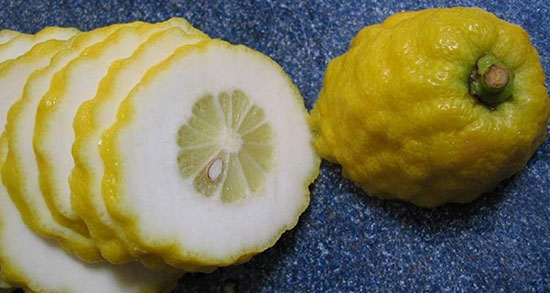 تعبیر خواب بالنگ ، معنی دیدن بالنگ در خواب های ما چیست