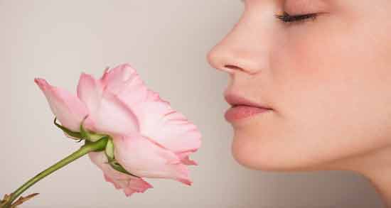 تعبیر خواب بوی گل ، معنی بوی گل در خواب های ما چیست