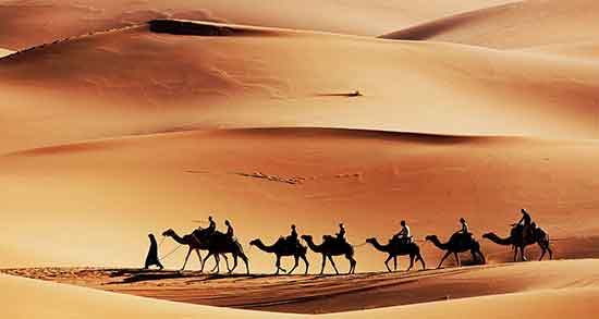 تعبیر خواب بیابان امام صادق ، حضرت یوسف و ابن سیرین و منوچهر مطیعی