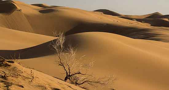 تعبیر خواب بیابان تاریک ، معنی دیدن بیابان تاریک در خواب های ما چیست