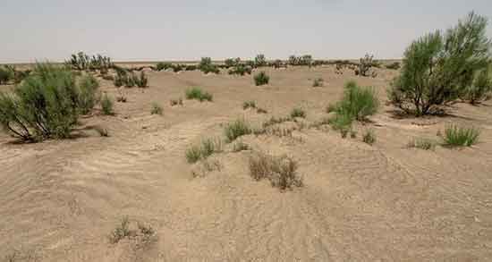 تعبیر خواب بیابان دیدن ، معنی بیابان دیدن در خواب های ما چیست