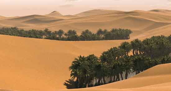تعبیر خواب بیابان یونگ ، معنی دیدن بیابان در خواب های ما چیست