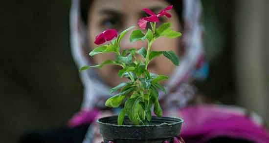 تعبیر خواب توصیه به صبر ، معنی دیدن توصیه به صبر در خواب های ما چیست