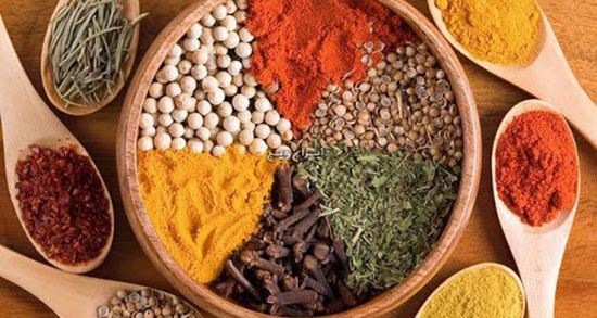 تعبیر خواب جوانه زدن لوبیا ، معنی جوانه زدن لوبیا در خواب های ما چیست