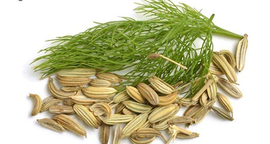تعبیر خواب خرید رازیانه ، معنی خرید رازیانه در خواب های ما چیست