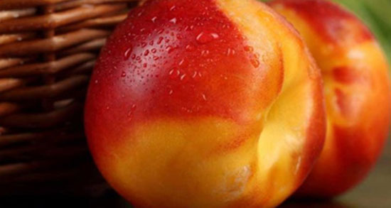 تعبیر خواب خوردن شفتالو از درخت و چیدن شفتالو از امام صادق و ابن سیرین تعبیر خواب خوردن شفتالو از درخت ، معنی خوردن شفتالو از درخت در خواب