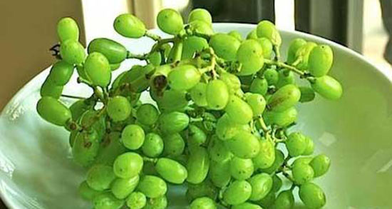 تعبیر خواب خوردن غوره انگور ، معنی خوردن غوره انگور در خواب ما چیست