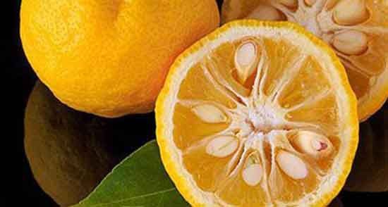 تعبیر خواب خوردن نارنج ، معنی خوردن نارنج در خواب های ما چیست
