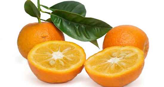 تعبیر خواب خوردن نارنج شیرین از امام صادق برای دختر مجرد و چیدن نارنج سبز تعبیر خواب خوردن نارنج شیرین ، معنی خوردن نارنج شیرین در خواب چیست