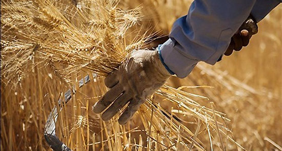 تعبیر خواب داس در دست داشتن ، معنی داس در دست داشتن در خواب چیست