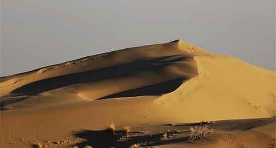 تعبیر خواب در کویر بودن ، معنی در کویر بودن در خواب های ما چیست